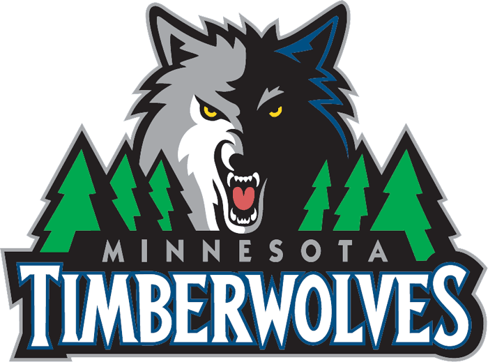 Minnesota Timberwolves 2008-2016 Primary Logo fabric transfer